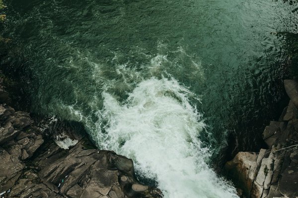 Comment organiser une croisière qui explore les arts et traditions des peuples autochtones de l'Amérique du Nord?