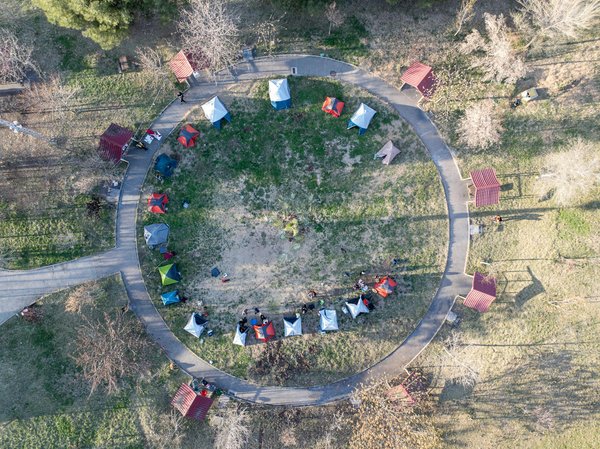 Quelles croisières proposent des excursions pour explorer les glaciers en Patagonie?