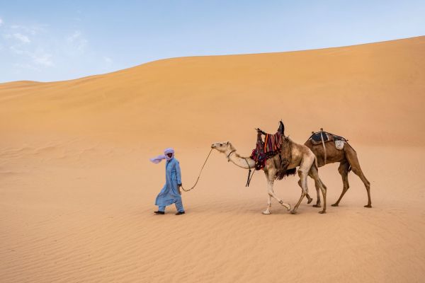 Comment découvrir les traditions des tribus berbères dans le désert du Sahara?