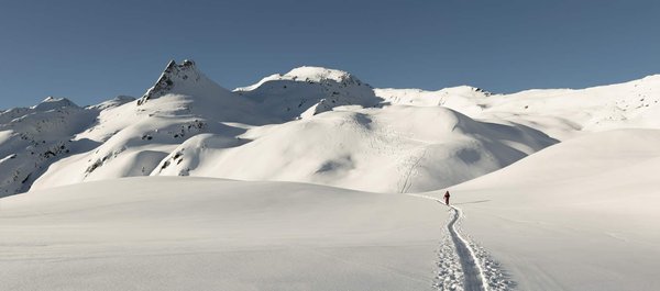 Est-il possible de louer une cabane en Suisse avec des excursions pour observer les glaciers?